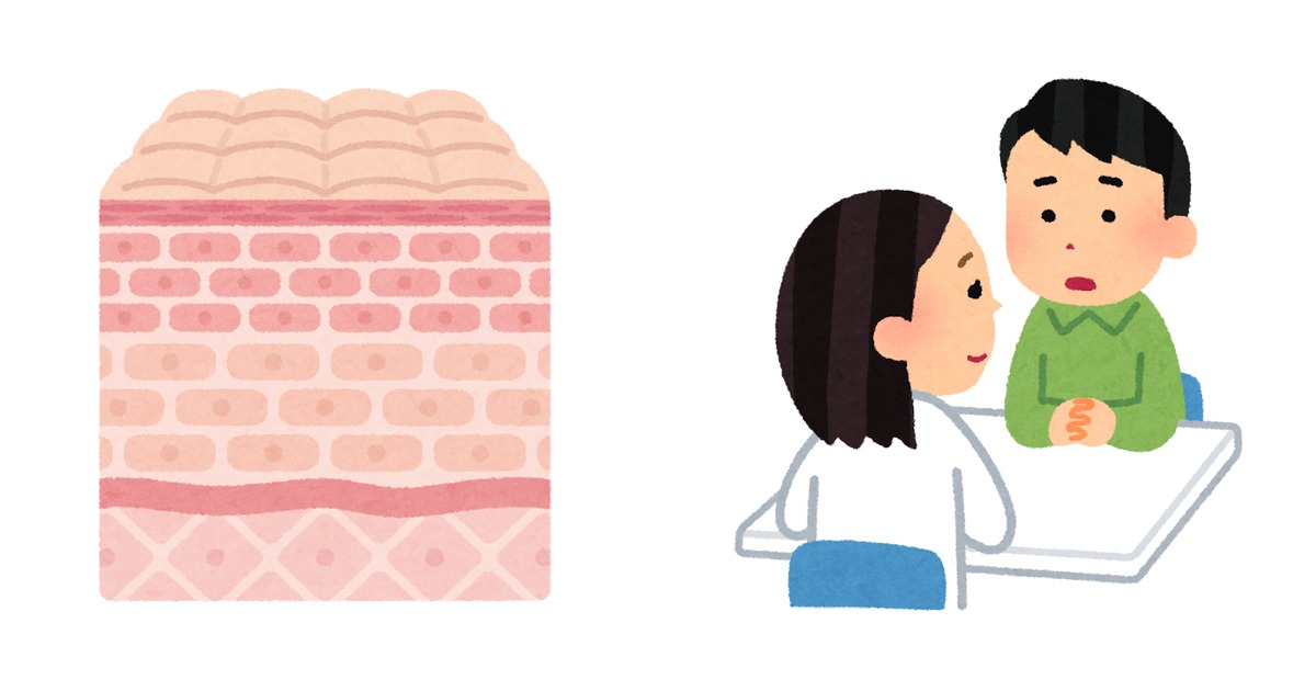 皮膚の断面を層ごとに描いたイラストと、女性医師がカウンセリングをしている場面のイラストを左右に並べた図。皮膚の層をつなぐ接着装置のたとえと、遺伝カウンセリングで相談する場面という二つの場面を表しています。